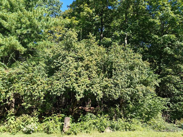 3766 Pendlestone Drive, Columbus, OH 43230