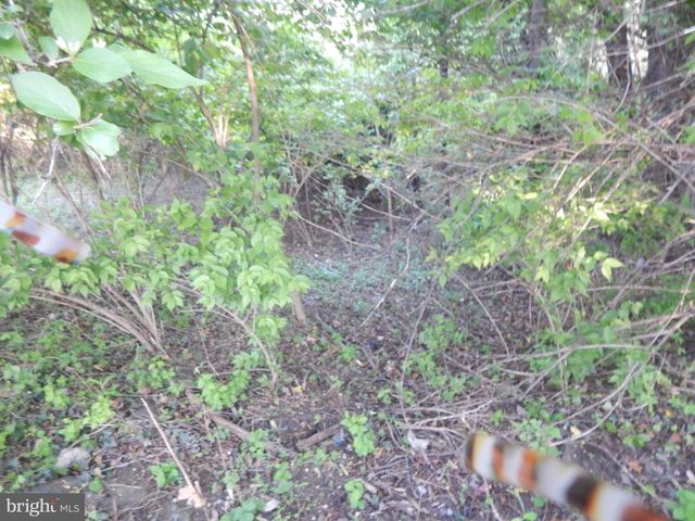 LOT 92 SIEBERT ST, Martinsburg, WV 25404