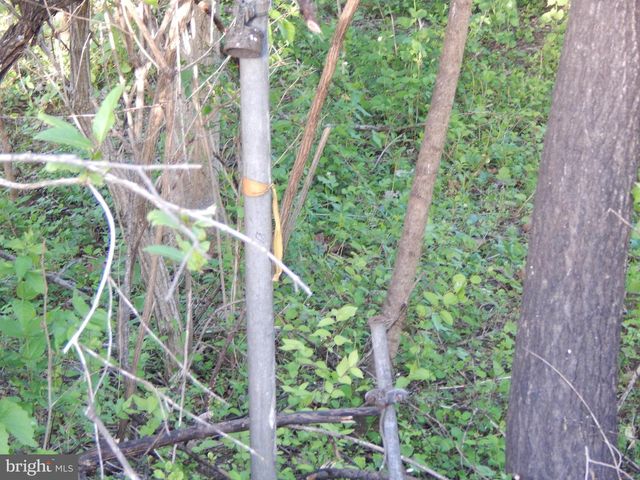 LOT 92 SIEBERT ST, Martinsburg, WV 25404