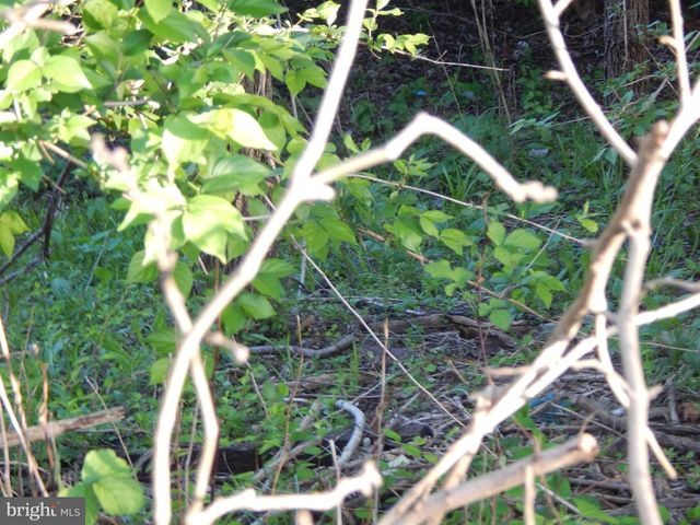 LOT 92 SIEBERT ST, Martinsburg, WV 25404