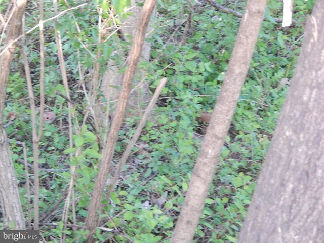 LOT 92 SIEBERT ST, Martinsburg, WV 25404