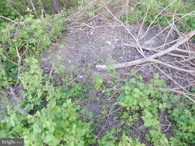 LOT 92 SIEBERT ST, Martinsburg, WV 25404