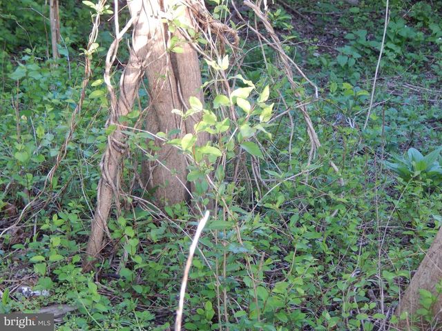 LOT 92 SIEBERT ST, Martinsburg, WV 25404