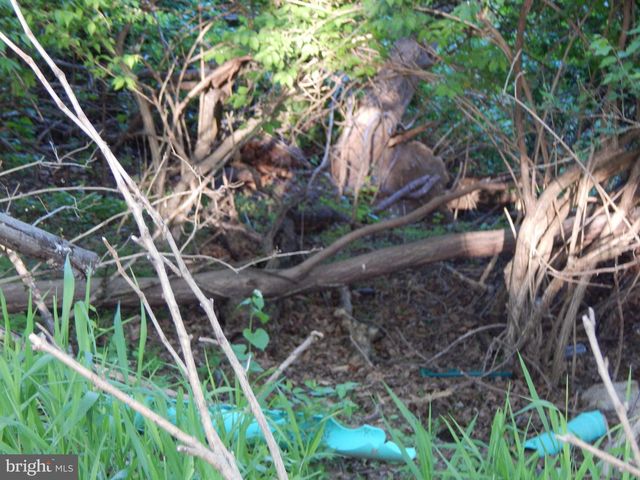 LOT 92 SIEBERT ST, Martinsburg, WV 25404