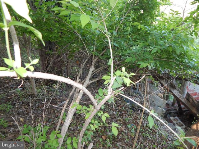 LOT 92 SIEBERT ST, Martinsburg, WV 25404