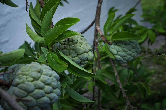 1675 THORNHILL CIRCLE, Oviedo, FL 32765