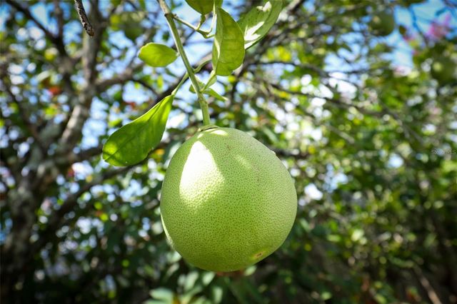 1675 THORNHILL CIRCLE, Oviedo, FL 32765