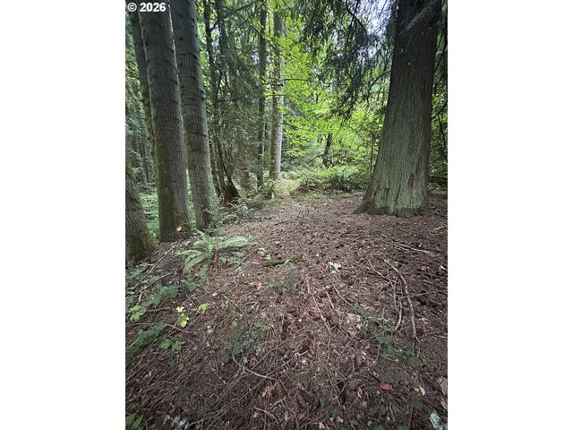 102 Nw 164TH St, Ridgefield, WA 98642