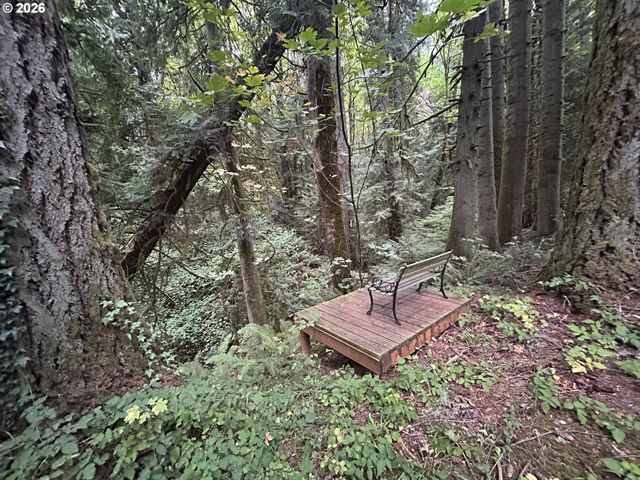 102 Nw 164TH St, Ridgefield, WA 98642