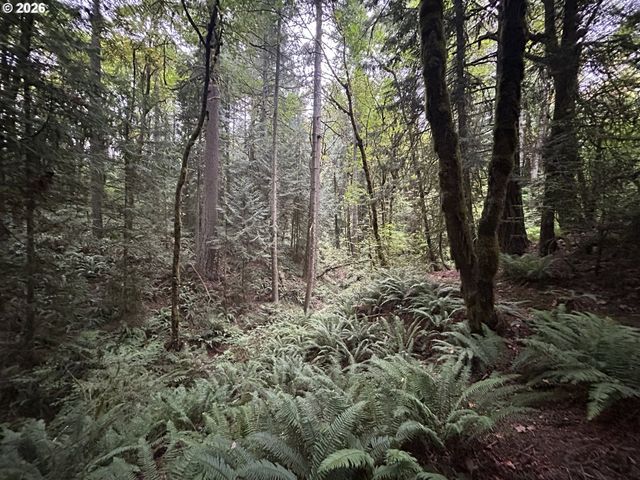 102 Nw 164TH St, Ridgefield, WA 98642