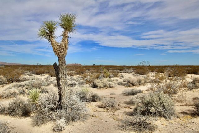 0 Winters Rd 0, Joshua Tree, CA 92252