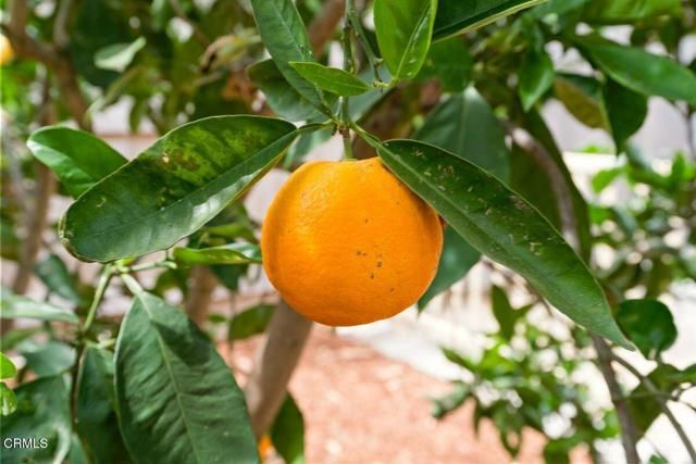 215 Apple Avenue, Ventura, CA 93004