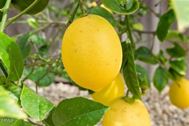 215 Apple Avenue, Ventura, CA 93004