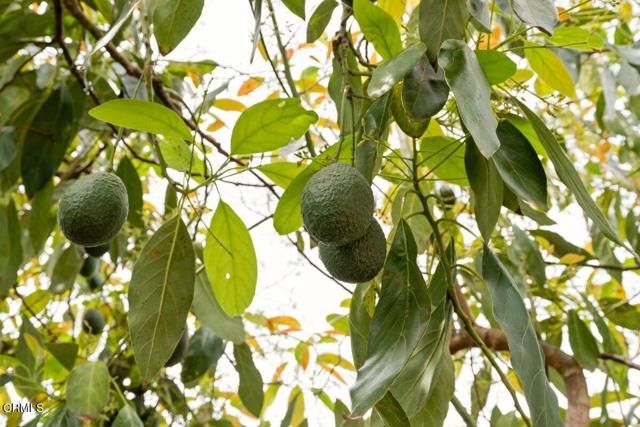 215 Apple Avenue, Ventura, CA 93004