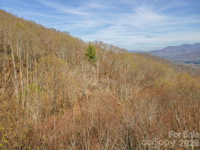 1279 Arborcrest Way 38, Swannanoa, NC 28778