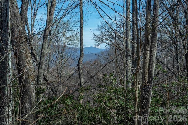 1279 Arborcrest Way 38, Swannanoa, NC 28778