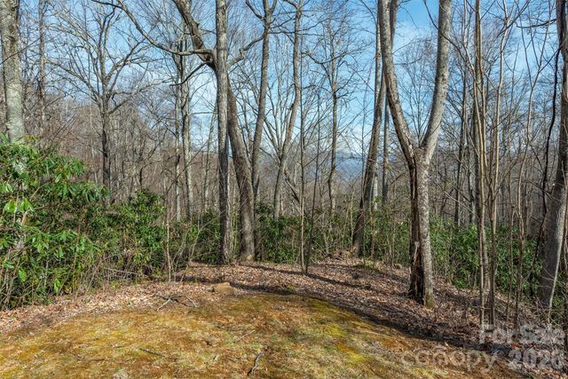 1279 Arborcrest Way 38, Swannanoa, NC 28778