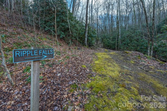 1279 Arborcrest Way 38, Swannanoa, NC 28778