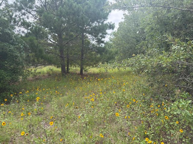 151 S Buckhorn DR, Bastrop, TX 78602