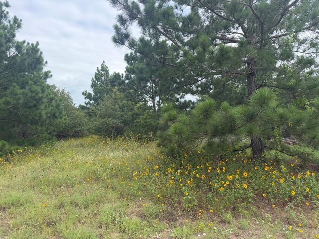 151 S Buckhorn DR, Bastrop, TX 78602