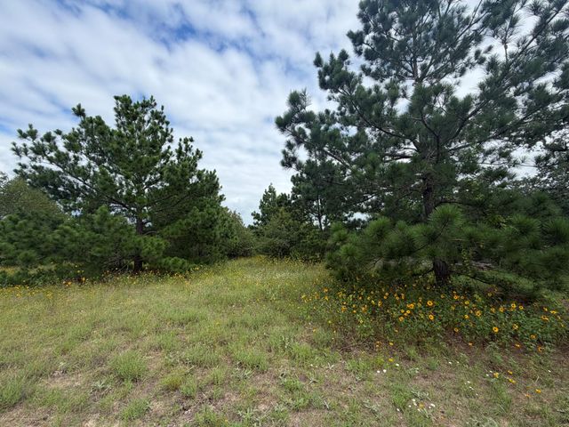 151 S Buckhorn DR, Bastrop, TX 78602