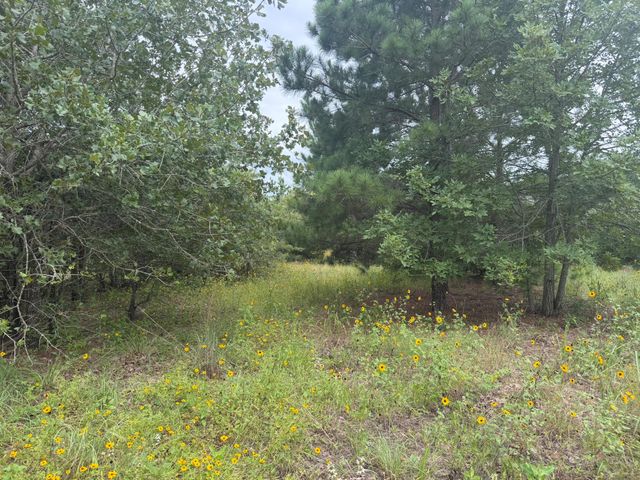 151 S Buckhorn DR, Bastrop, TX 78602