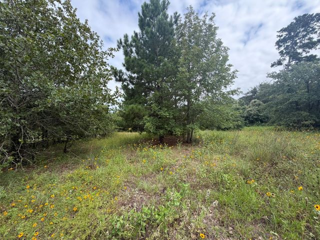 151 S Buckhorn DR, Bastrop, TX 78602