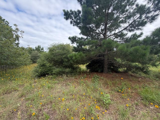 151 S Buckhorn DR, Bastrop, TX 78602