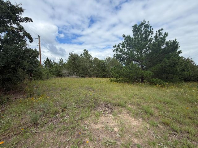 151 S Buckhorn DR, Bastrop, TX 78602