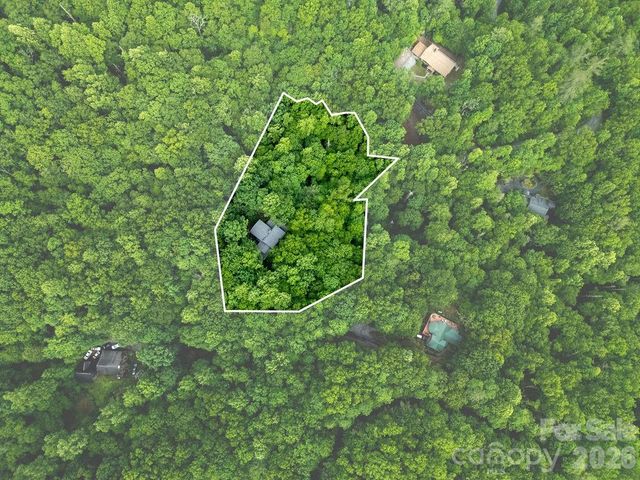 118 Little Bear Lane, Pisgah Forest, NC 28768