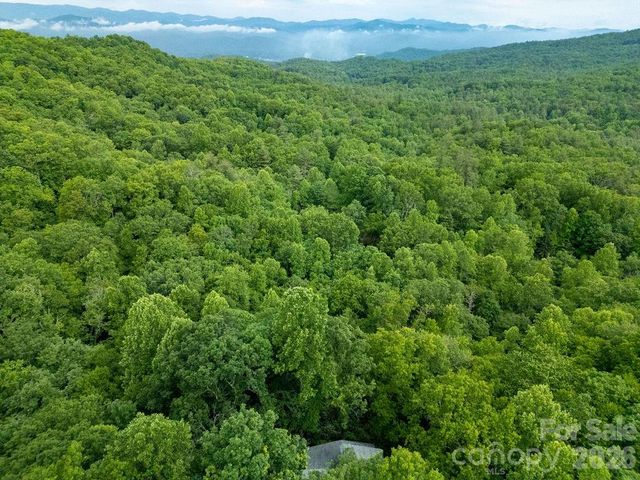 118 Little Bear Lane, Pisgah Forest, NC 28768