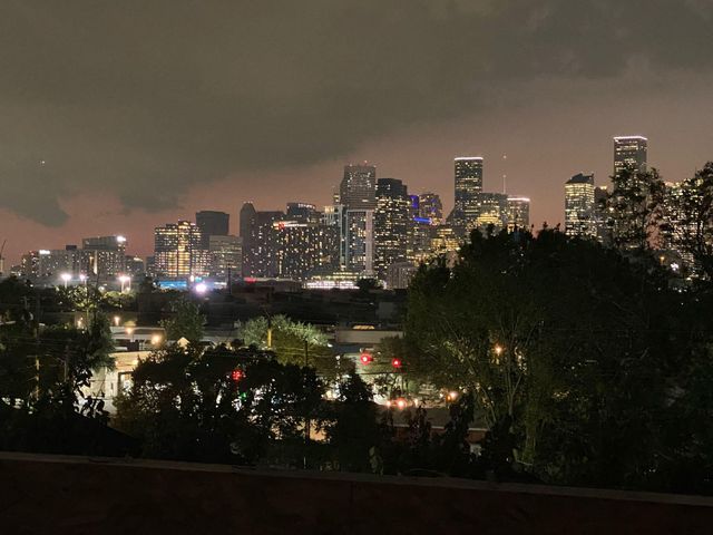 3510 Saltus Street, Houston, TX 77003