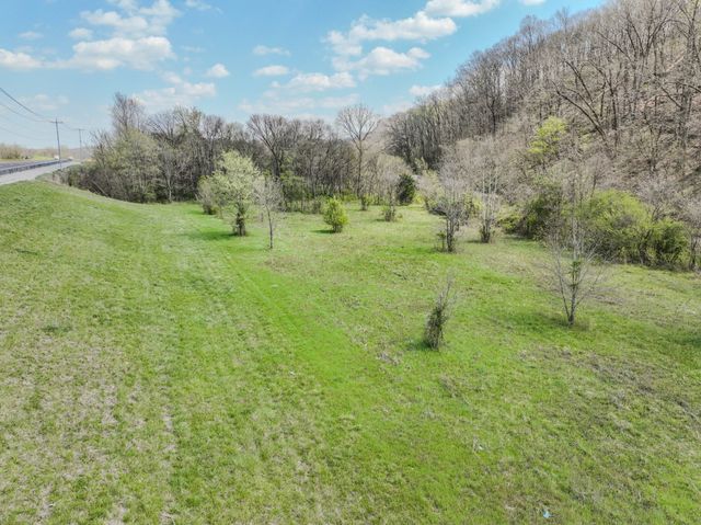 0 Pickard Hollow Rd, Mount Pleasant, TN 38474
