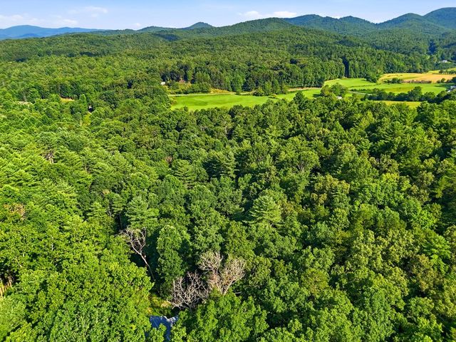 50 Pigeon Creek Road, Blue Ridge, GA 30513