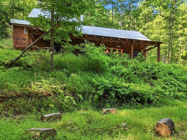 50 Pigeon Creek Road, Blue Ridge, GA 30513