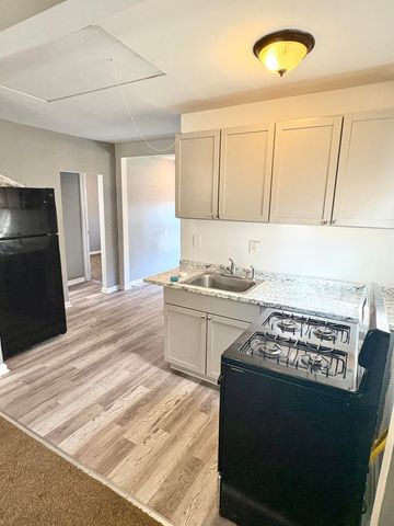 1321 Applewood Avenue, Lincoln Park City, MI 48146