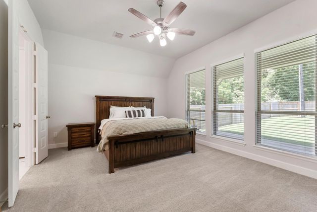 228 W Netleaf Court, Montgomery, TX 77316