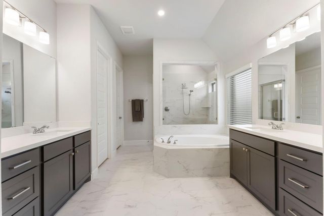 228 W Netleaf Court, Montgomery, TX 77316