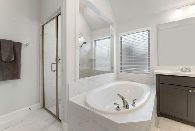 228 W Netleaf Court, Montgomery, TX 77316