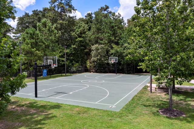 228 W Netleaf Court, Montgomery, TX 77316