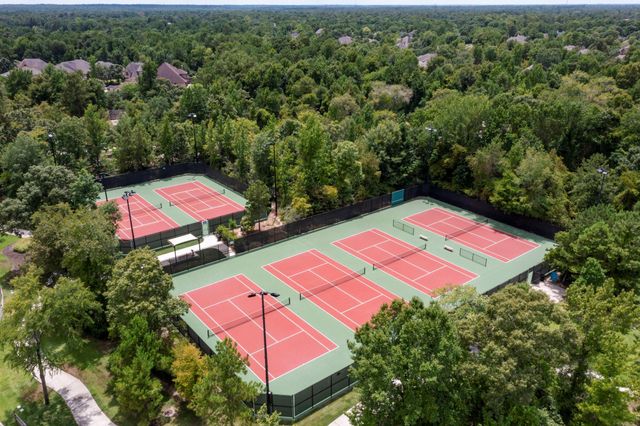 228 W Netleaf Court, Montgomery, TX 77316