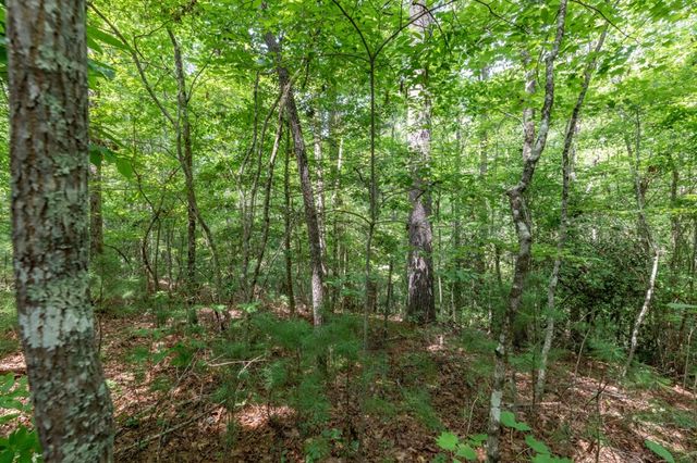 Lot 18 The Ridges Of Carolina, Murphy, NC 28906