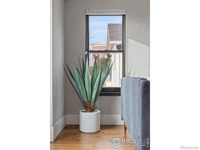 302 N Meldrum Street 103, Fort Collins, CO 80521