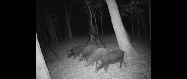 4930 Cr-4509, Commerce, TX 75428