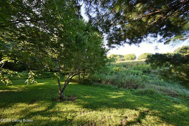 290 Hochstrasser Rd, Elk Creek, KY 40071