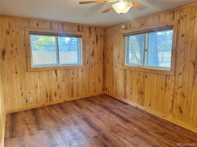 118 N San Juan Ave, Buena Vista, CO 81211