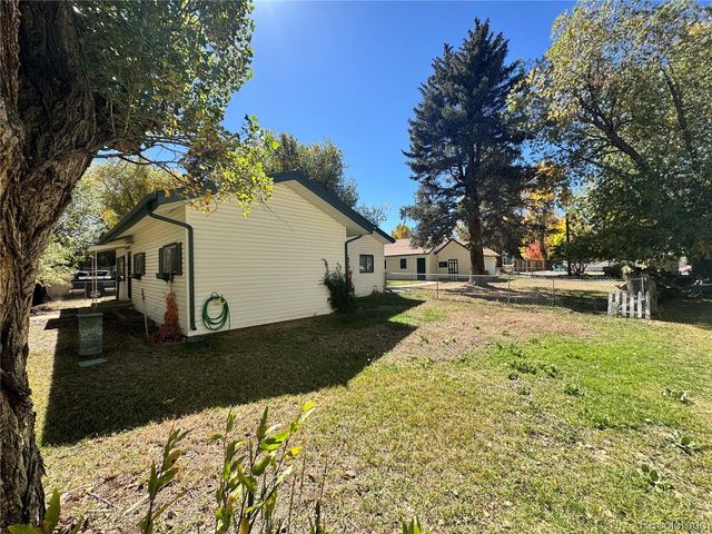 118 N San Juan Ave, Buena Vista, CO 81211