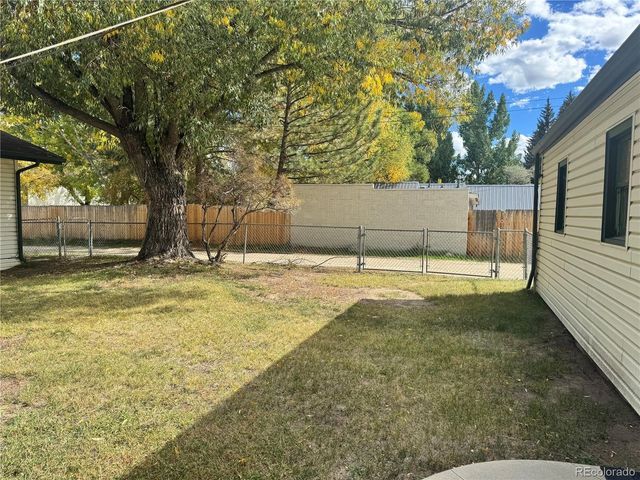 118 N San Juan Ave, Buena Vista, CO 81211