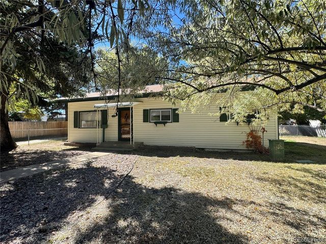 118 N San Juan Ave, Buena Vista, CO 81211