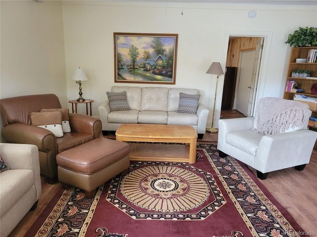 118 N San Juan Ave, Buena Vista, CO 81211